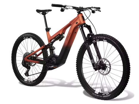 Limited-Run Electric Mountain Bikes