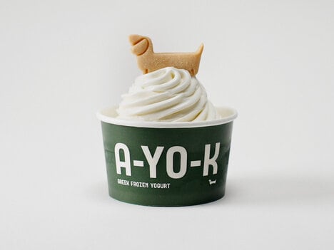 Fashionable Frozen Yogurts