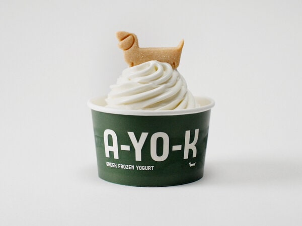 Fashionable Frozen Yogurts