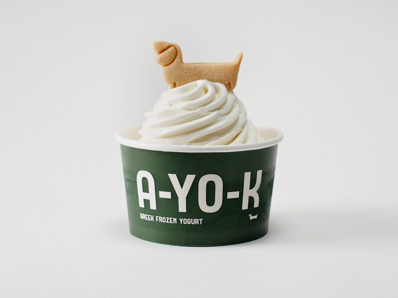 Fashionable Frozen Yogurts