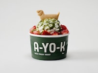 Fashionable Frozen Yogurts Image 2