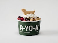 Fashionable Frozen Yogurts Image 3