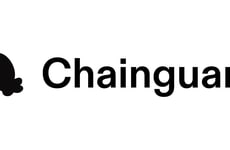 Continuous AI Code Verification
