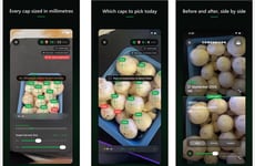 Mushroom Harvest Apps