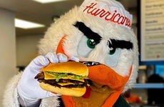 College Team Signature Burgers