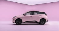 Roomier Budget Electric Hatchbacks