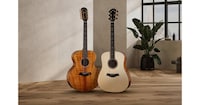 Limited-Edition Acoustic Guitars Image 1