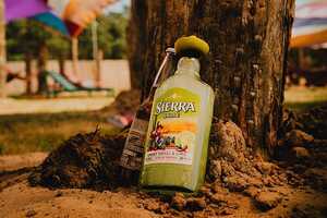 Agave Tequila Bottles Article Thubnail