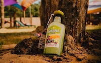 Agave Tequila Bottles Image 1