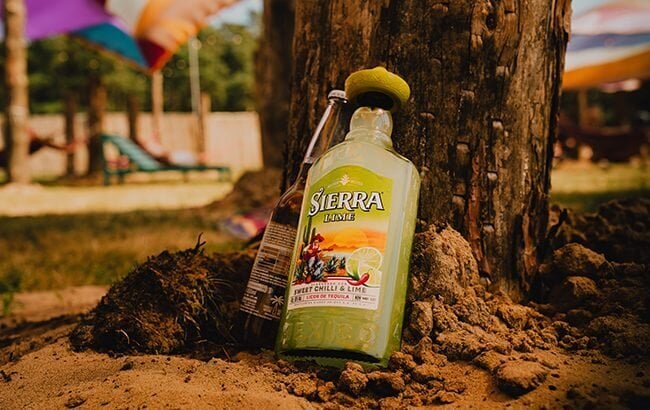 Agave Tequila Bottles Article Thubnail