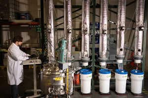 Copper Bioleaching Microbes Article Thubnail