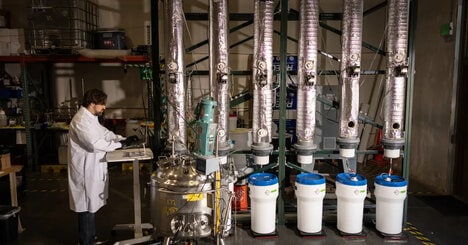 Copper Bioleaching Microbes
