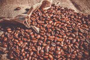 Indoor Coffee Crops Article Thubnail