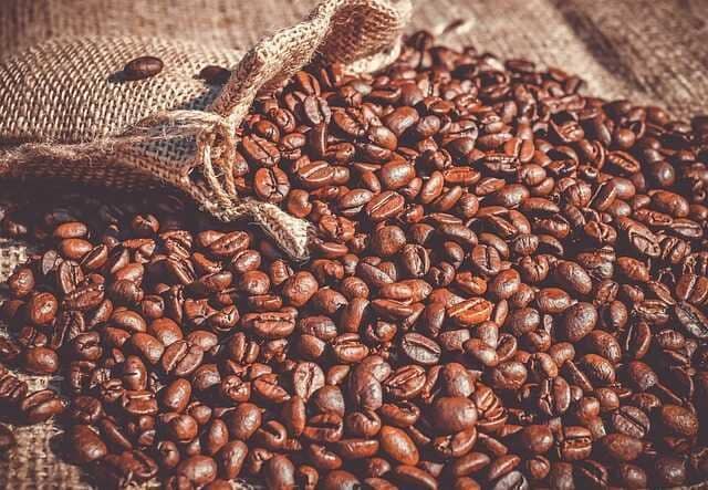 Indoor Coffee Crops Article Thubnail