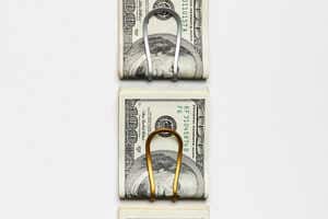 Slim Titanium Money Clips Article Thubnail