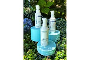 Concentrated Probiotic Mists Article Thubnail