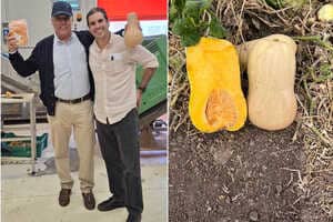Chilean Butternut Squash Exports Article Thubnail