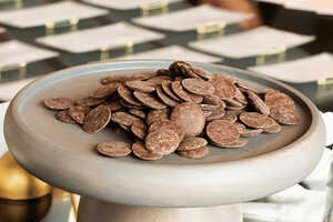 Cultivated Cocoa Chocolate Lines Article Thubnail