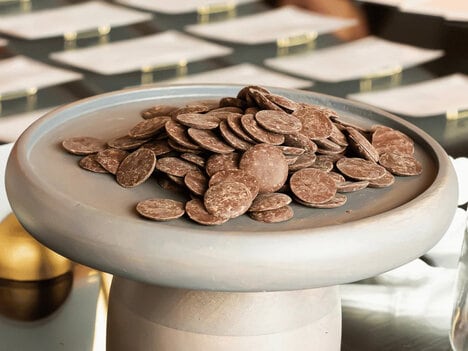 Cultivated Cocoa Chocolate Lines