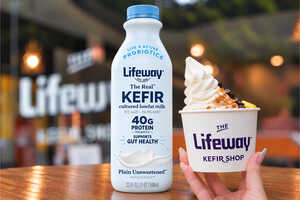 Probiotic Kefir Soft-Serve Article Thubnail