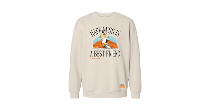 Pet Adoption Merchandise Article Thubnail