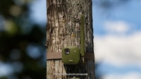 Extended-Range Security Cameras Image 2