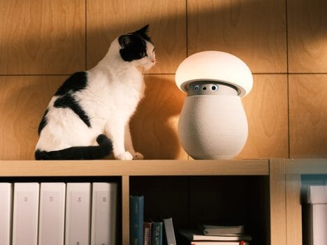 Nonverbal Companion Robots