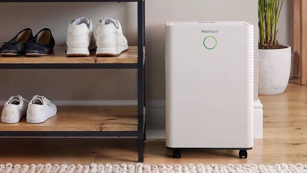 Budget Small-Space Dehumidifiers