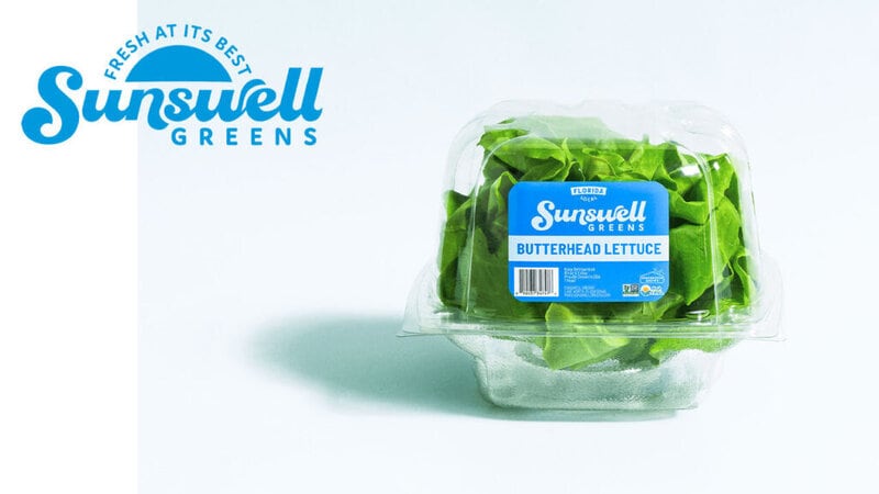 Year-Round Greenhouse Lettuce