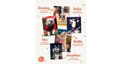 College Mascot Pet Partnerships
