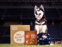 College Mascot Pet Partnerships Image 2