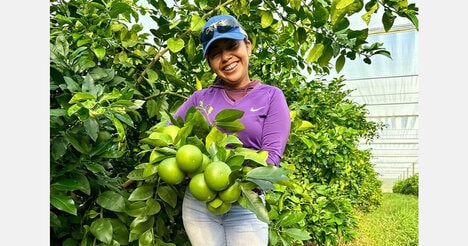 Worker-Directed Florida Citrus