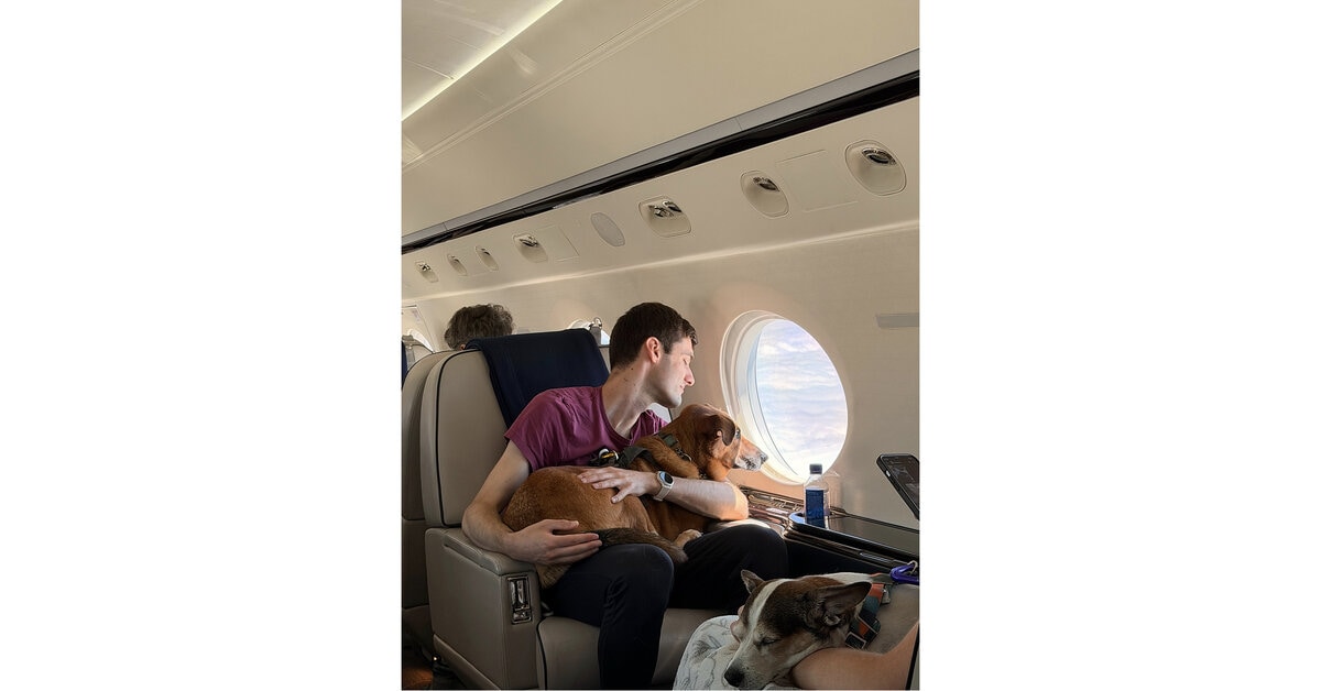 In-Cabin Pet Flights