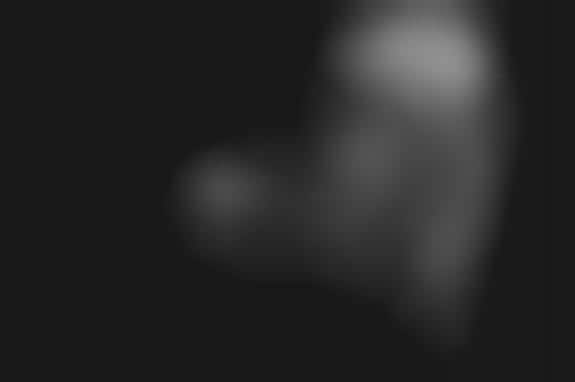 Dirty Disgruntled Portraits