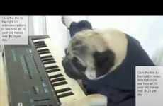 Viral Video Copycats