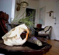 Granny Chic Decor Image 2