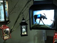 Mycoligic Lighting Image 3