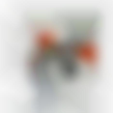 Scenic Glass Teaware