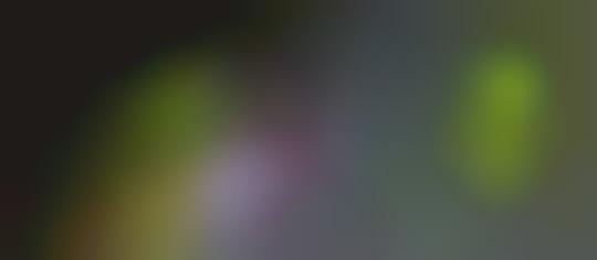 Outer Space Garden Orbs