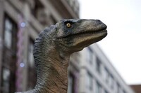Urban Dino Playgrounds Image 6