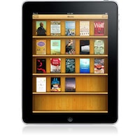 Geek iPad Backlashes Image 4
