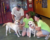 Fun Camps for Pets Image 5