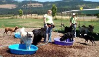 Fun Camps for Pets Image 7