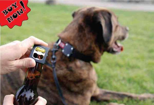 Beer-Opening Dog Collars