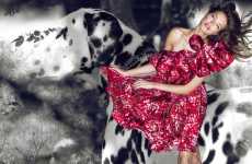 Dalmatian Fashion Scenes