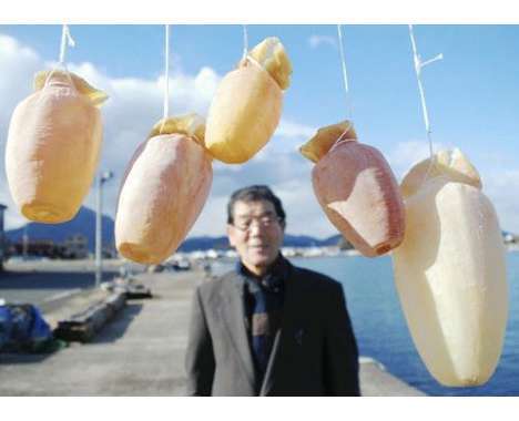 27 Giant Squid Innovations