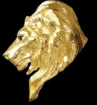 Gilded Zoo Buckles Image 4