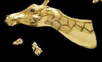 Gilded Zoo Buckles Image 7