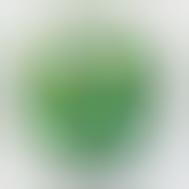 Granny Smith Tunes
