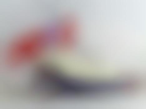 Bobsled Inspired Vehicles